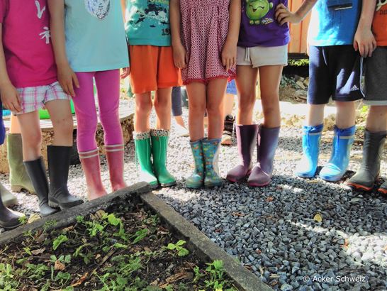 (C) Acker Schweiz (3) (C) Acker Schweiz (3)