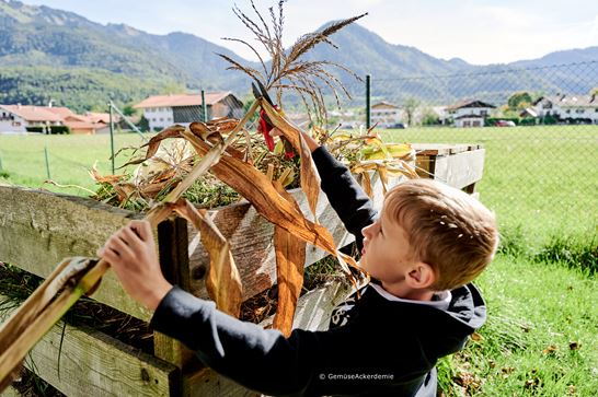 (c) Gemüseackerdemie (3) (c) Gemüseackerdemie (3)