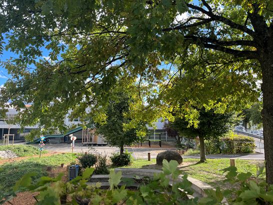 Allgemeine Informationen Allgemeine Informationen