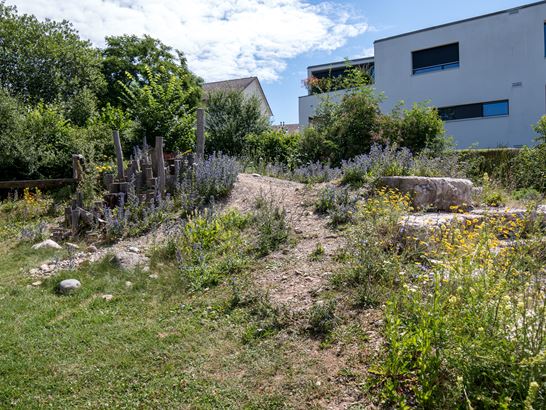 Betrieb und Unterhalt © Naturama Aargau Betrieb und Unterhalt © Naturama Aargau