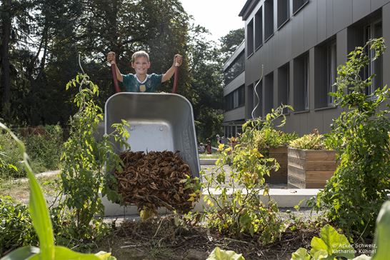 (C) Ackerschweiz Katharina Kühnel (C) Ackerschweiz Katharina Kühnel