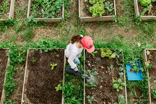 (C) Acker Schweiz (2) (C) Acker Schweiz (2)