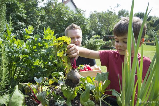 (C) Gemüseackerdemie (2) (C) Gemüseackerdemie (2)