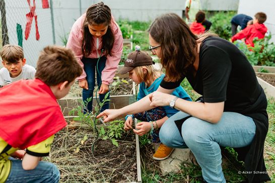 (C) Acker Schweiz (C) Acker Schweiz