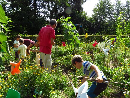 (C) Manfred Ziegele (C) Manfred Ziegele